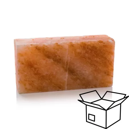 10szt. Cegła solna szlifowana 5x10x20cm + frez